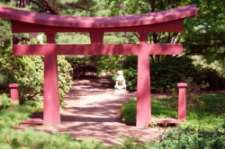 神社の作法